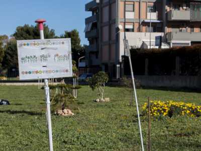 Tutt'attorno colpisce invece l'assoluta mancanza di rifiuti